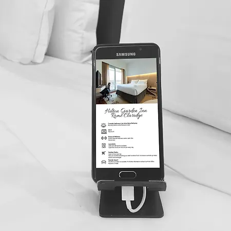 罗马克拉里奇希尔顿花园酒店 4*